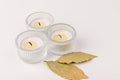 Aromatic white candle made from wax, decorate by green leaves on the white background Royalty Free Stock Photo