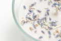 Aromatized candle with little lavanda dry blue flowers corner view Royalty Free Stock Photo