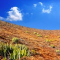 Arona Cactus mountain in Tenerife south
