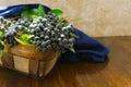 Aronia Aronia melanocarpa in a wicker basket on the table. Useful berry.