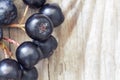 Aronia berries black chokeberry