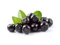 Aronia berries with leaves on white backgrounds