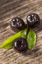 Aronia with leaf Royalty Free Stock Photo