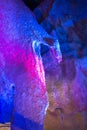 Around China -Monster in the Rocks - The impressive Fengshuidong cavern with water pool and stone bridge Royalty Free Stock Photo