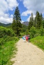 Around Rosu Lake in Romania