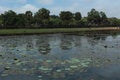 Around the site of Angkor Temple Cambodia