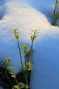 Around the velmerstot, hiking area at any time of year Royalty Free Stock Photo