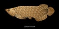 Arowana Fish graphic vector. Royalty Free Stock Photo