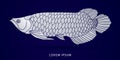 Arowana Fish graphic vector. Royalty Free Stock Photo