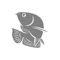 Arowana fish logo vector template, Creative Arowana fish logo design concepts, icon symbol, illustration Royalty Free Stock Photo