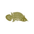 Arowana fish logo vector template, Creative Arowana fish logo design concepts, icon symbol, illustration Royalty Free Stock Photo