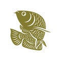 Arowana fish logo vector template, Creative Arowana fish logo design concepts, icon symbol, illustration Royalty Free Stock Photo