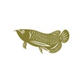 Arowana fish logo vector template, Creative Arowana fish logo design concepts, icon symbol, illustration Royalty Free Stock Photo