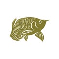 Arowana fish logo vector template, Creative Arowana fish logo design concepts, icon symbol, illustration Royalty Free Stock Photo