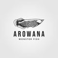 Arowana fish logo vintage vector illustration design Royalty Free Stock Photo