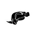 arowana fish predator icon logo design vector abstract illustration Royalty Free Stock Photo