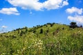 ÃÂ¡arpathians. Beregovo Nature on top of a small mountain near the Beregovo city n a shine day Royalty Free Stock Photo