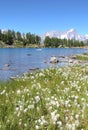 Arpy lake in Aosta valley