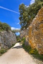 Arqueological Site of Atapuerca, Burgos, Spain Royalty Free Stock Photo