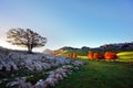 Arraba lands in Gorbea with lonely tree Royalty Free Stock Photo