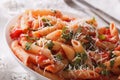 Arrabiata Pasta with Parmesan on a plate macro. horizontal Royalty Free Stock Photo
