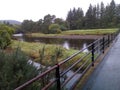 Arran landscape, lush, green, nature