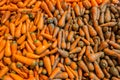 Arrange alongside washed carrots and dirty carrots. Food background.