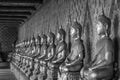 Arrange of buddha statue in black and white Royalty Free Stock Photo