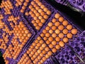 Arrangement of eggs neatly on a shelf in a row