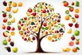 Arrange of fruits forming the shape of a tree, on white background.