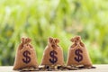 Arrange group coins and US dollar bag on table with green nature background. Concept wealth management and long term money Royalty Free Stock Photo