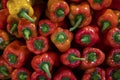 Close up of arranged paprika on the market Royalty Free Stock Photo