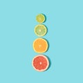 Arranged fruit. Slices of orange, lemon, grapefruit and lime on a blue background Royalty Free Stock Photo