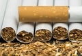 Arranged in a row cigarettes Royalty Free Stock Photo