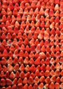 Arranged strawberries Royalty Free Stock Photo