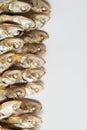 Arranged tidy small dried fish on white background