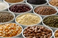 Arranged white bowls with uncooked pulses, grains and seeds on w Royalty Free Stock Photo