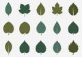 Arranged in a 4x4 grid. Each leaf is a different shape, representin Royalty Free Stock Photo