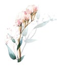 Arrangement with airy limonium flowers, branches, leaves, pink gold dust graphic elements. Royalty Free Stock Photo