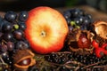 Arrangement of autumnal fruits Royalty Free Stock Photo