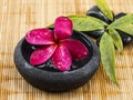 Arrangement of black zen stone with red plumeria flower on wooden bacground Royalty Free Stock Photo