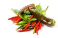 Arrangement of Chili Peppers Royalty Free Stock Photo