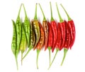 Arrangement of Chili Peppers Royalty Free Stock Photo