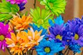 Vibrant purple blue green orange daisies with water drops on the petals Royalty Free Stock Photo