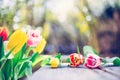 Arrangement of colorful spring flowers in the own garden blurry background with text space ideal for postcard