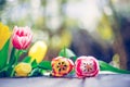 Arrangement of colorful spring flowers in the own garden blurry background with text space ideal for postcard