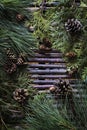 Arrangement of coniferous Tree Boughs