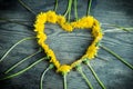 Arrangement of dandelions in the heart shape on dark background Royalty Free Stock Photo