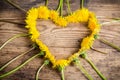 Arrangement of dandelions in the heart shape Royalty Free Stock Photo