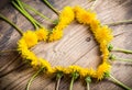 Arrangement of dandelions in the heart shape Royalty Free Stock Photo